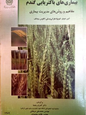 بیماری های باکتریایی گندم