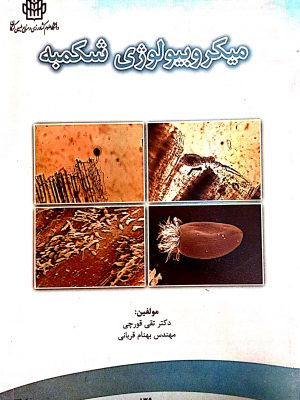 میکروبیولوژی شکمبه