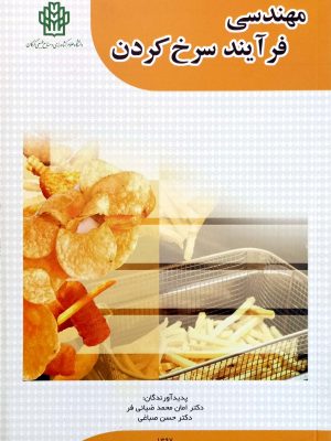 مهندسی فرآیند سرخ کردن