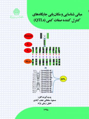 مبانی شناسی و مکان یابی جایگاه های کنترل کننده صفات کمی (qtls)
