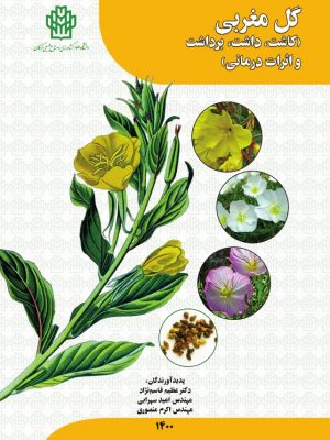 گل مغربی (کاشت، داشت، برداشت و اثرات درمانی)- نسخه الکترونیک
