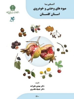 آشنایی با میوه های وحشی و خودروی استان گلستان